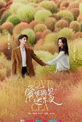 爱的最后愿望